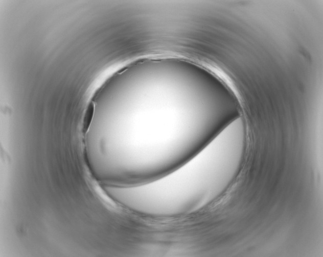 X0000091351485200708101028
