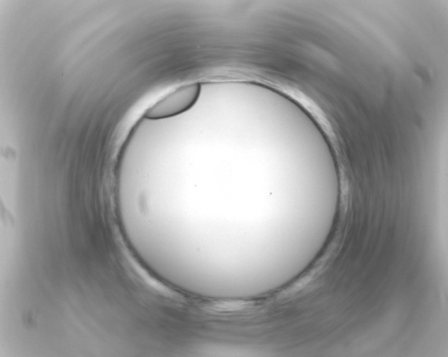 X0000091351486200708101028