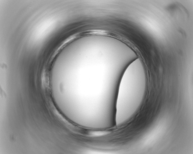 X0000091351487200708101028