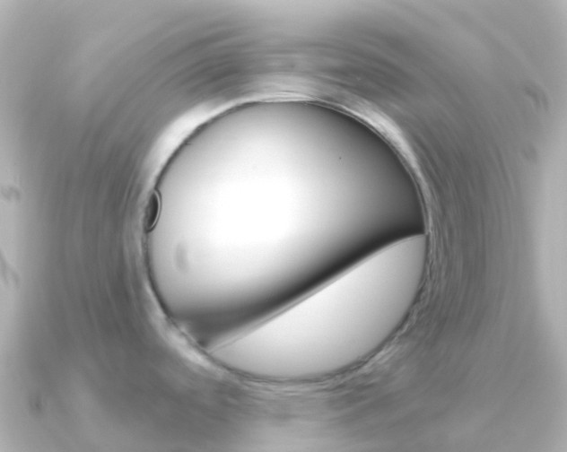 X0000091351488200708101028