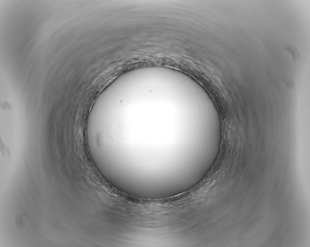 X0000091351489200708101027