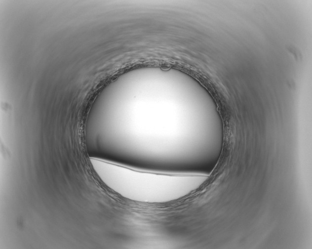 X0000091351490200708101027