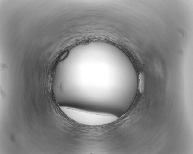 X0000091351491200708101027