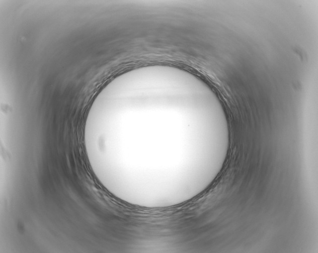 X0000091351492200708101027
