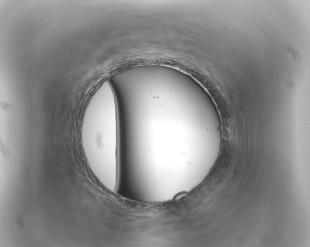 X0000091351493200708101027