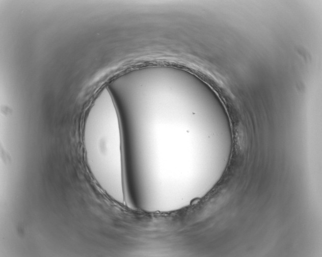 X0000091351494200708101027