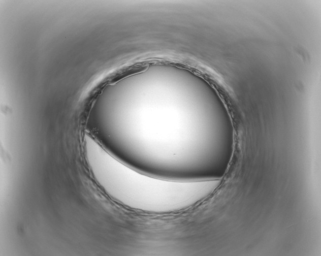 X0000091351496200708101028