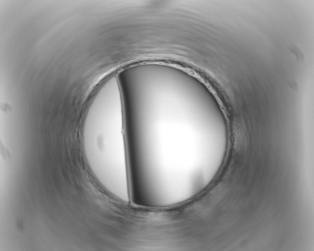 X0000091351497200708101028