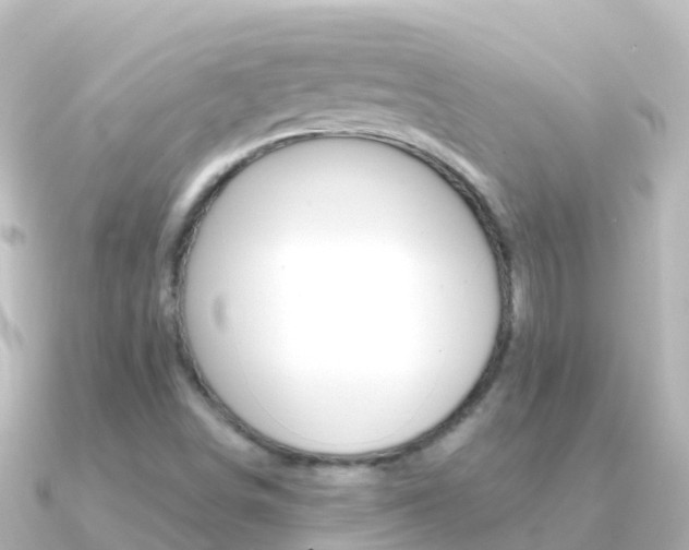 X0000091351498200708101028