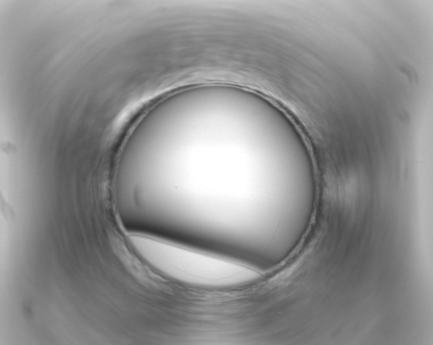 X0000091351499200708101028
