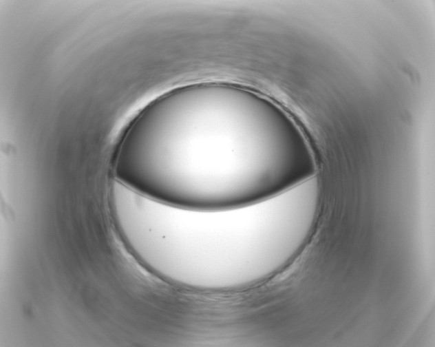 X0000091351500200708101028