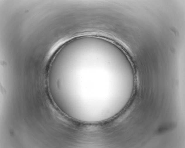 X0000091351501200708101028