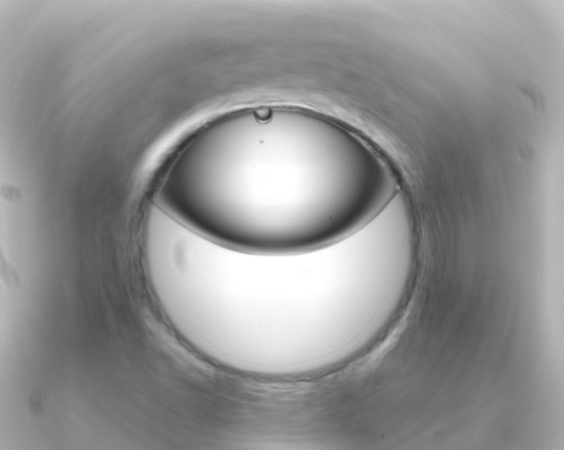 X0000091351502200708101028