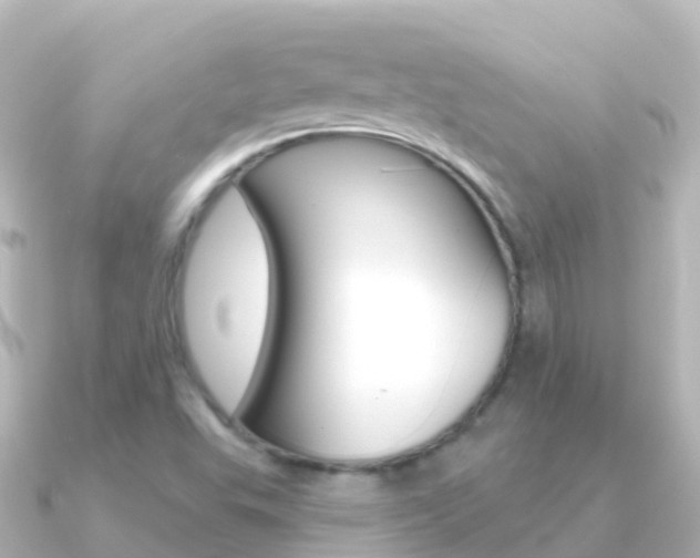 X0000091351503200708101028