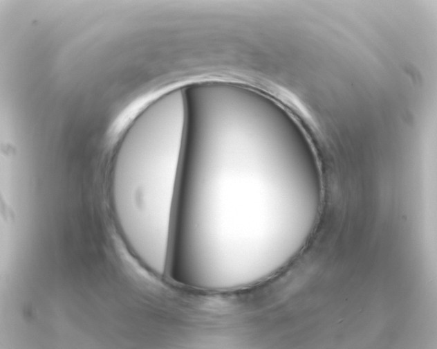 X0000091351504200708101028