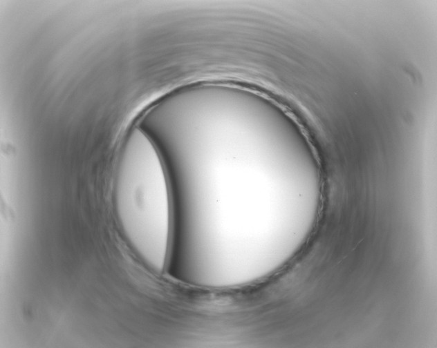 X0000091351505200708101028