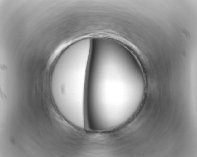X0000091351506200708101028