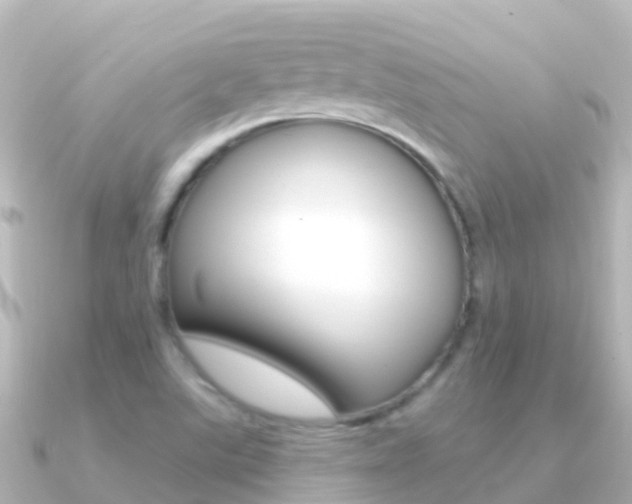 X0000091351507200708101028