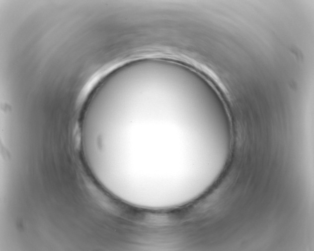 X0000091351509200708101028