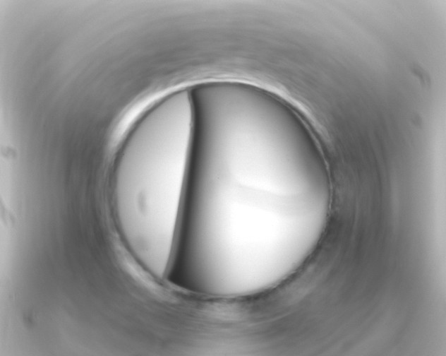 X0000091351511200708101028