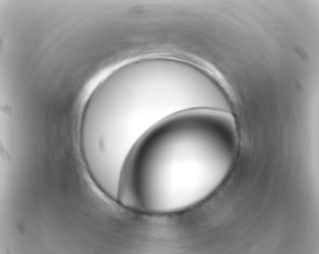 X0000091351512200708101028