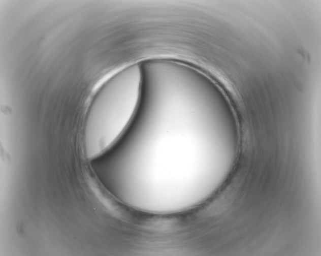 X0000091351513200708101028