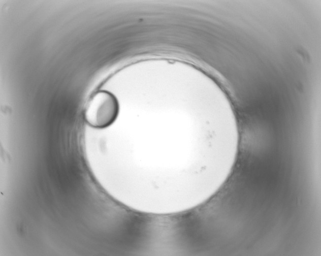 X0000091351514200708101028