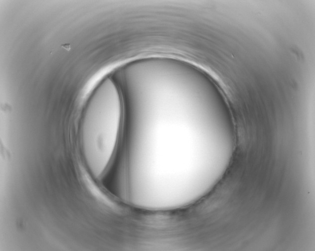 X0000091351515200708101028