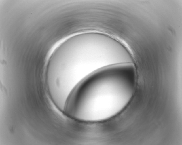 X0000091351516200708101028
