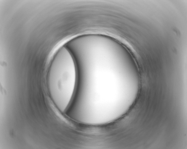 X0000091351517200708101028
