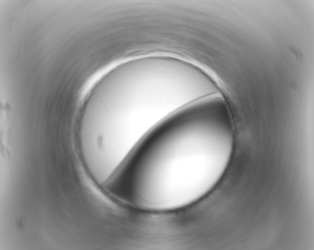 X0000091351518200708101028