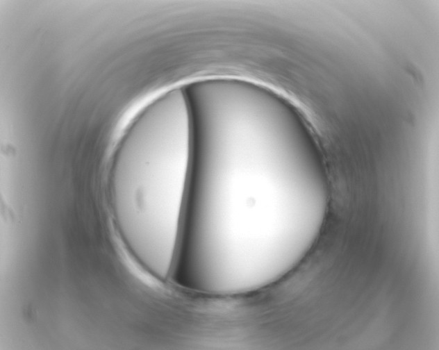 X0000091351519200708101028