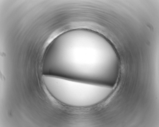 X0000091351521200708101028