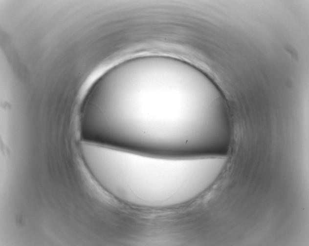 X0000091351522200708101028