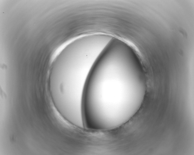 X0000091351524200708101028