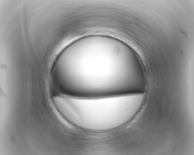 X0000091351525200708101028