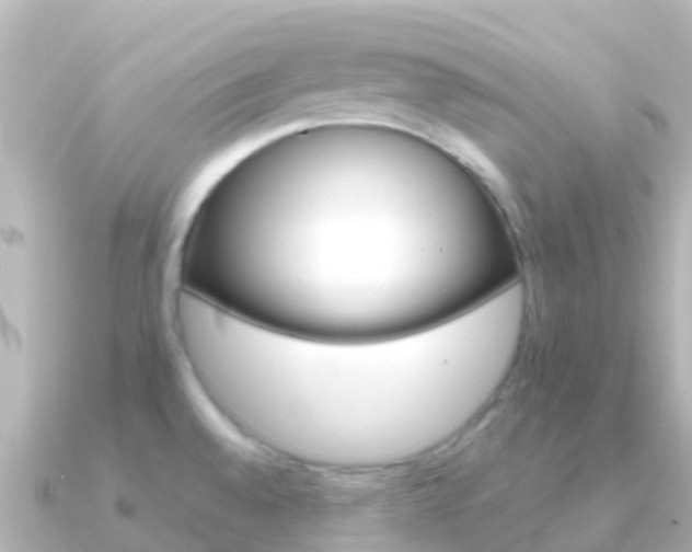 X0000091351528200708101028