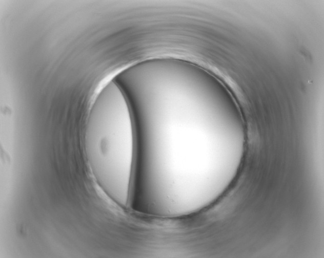 X0000091351529200708101028