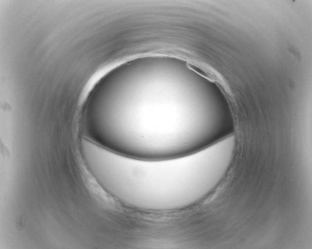 X0000091351530200708101028