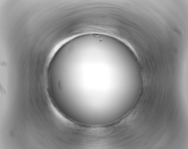 X0000091351531200708101028