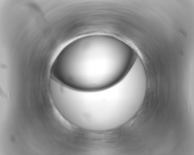X0000091351532200708101028