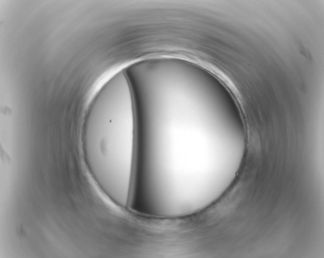 X0000091351533200708101028