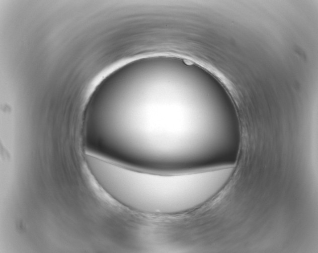 X0000091351534200708101028