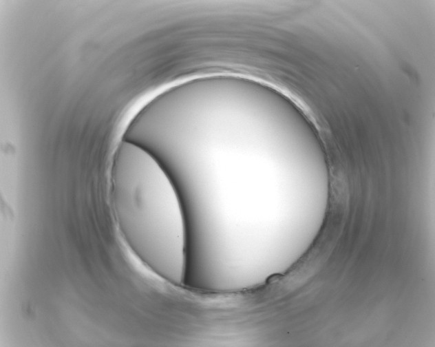 X0000091351535200708101028