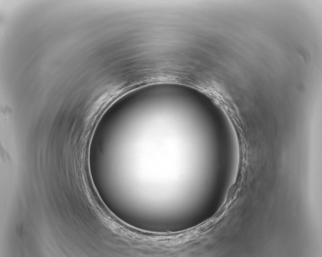 X0000091350001200708101539