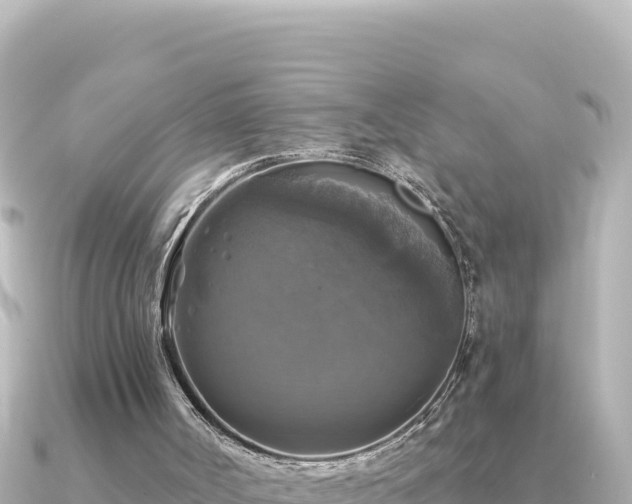 X0000091350002200708101539