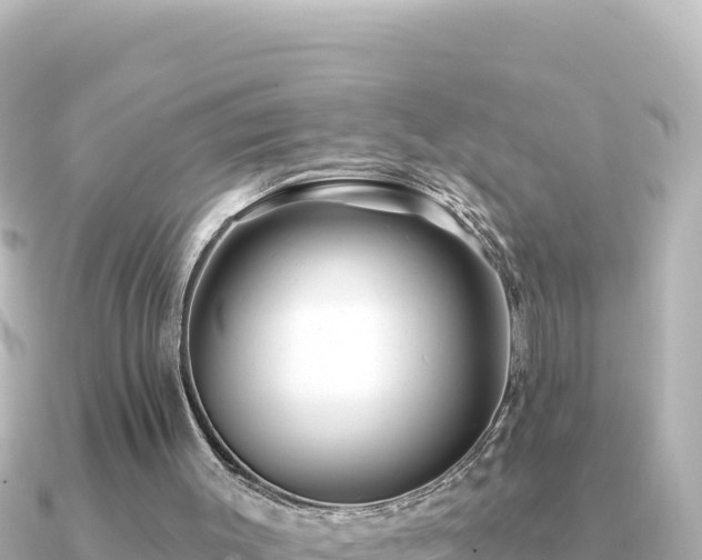 X0000091350003200708101539