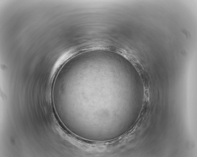X0000091350004200708101539