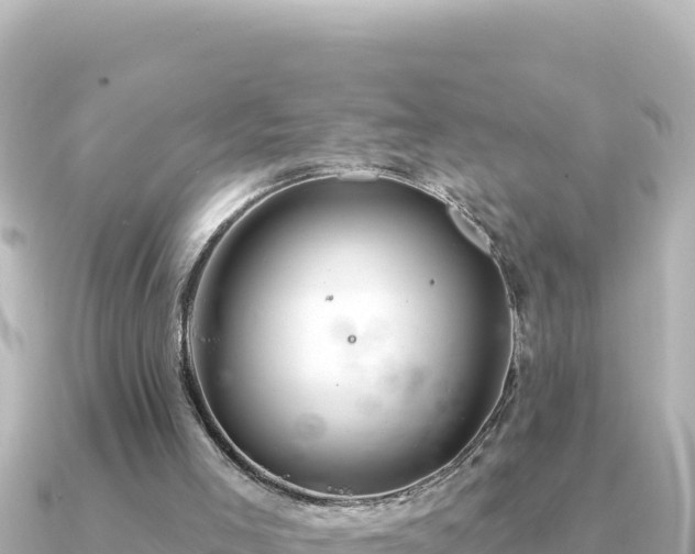 X0000091350005200708101539
