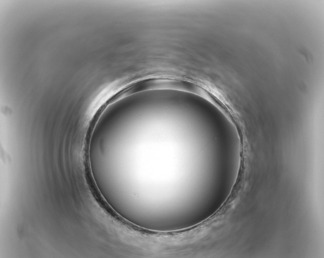 X0000091350007200708101539